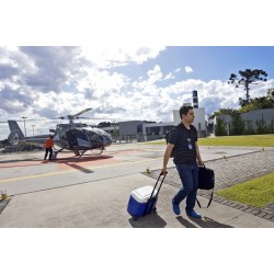 Maior doador do País, Paraná celebra mês de conscientização para doação de órgãos